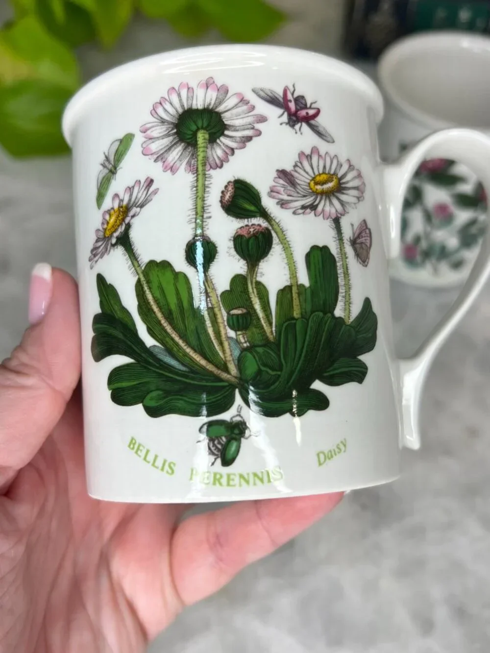 Set of 2 Portmeirion Botanic Garden‎ Beaker English Mugs - Rhododendron & Daisy